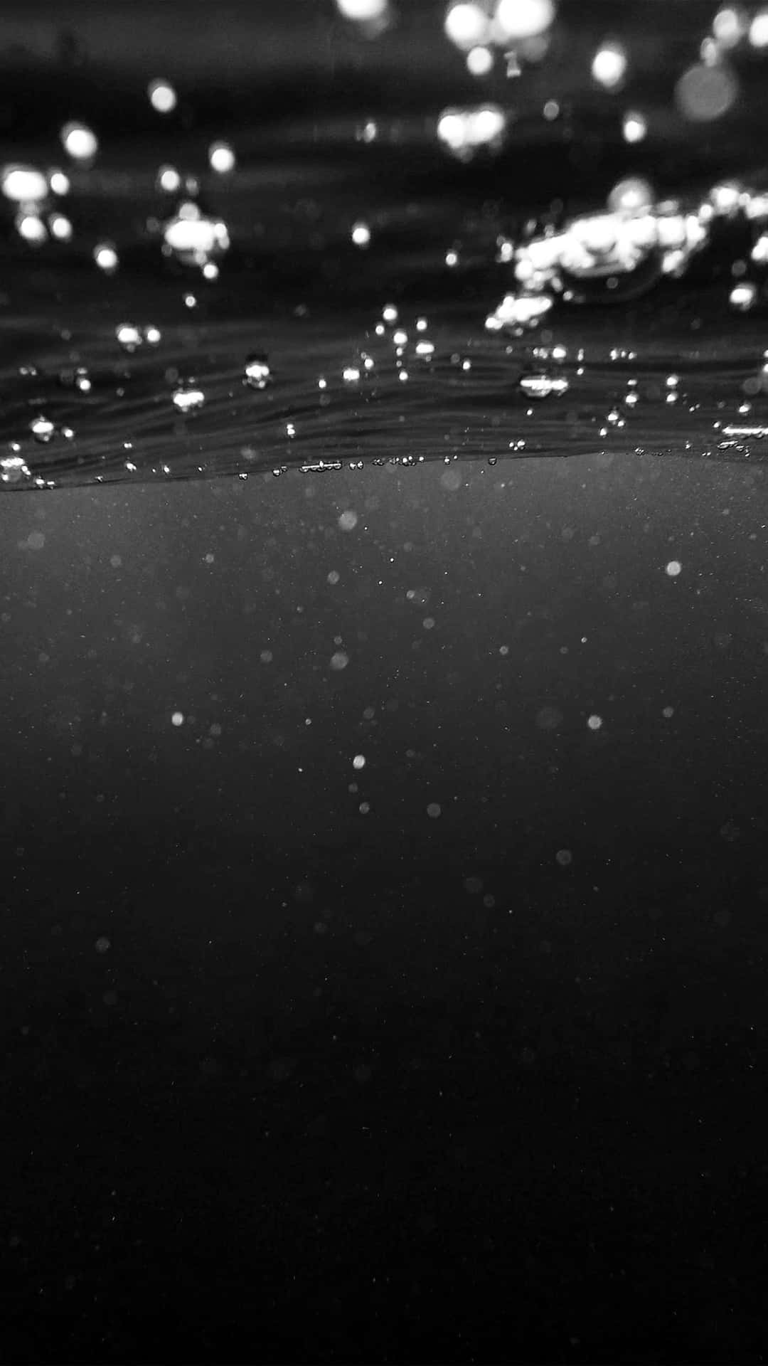 Underwater Black And White Photo Wallpaper