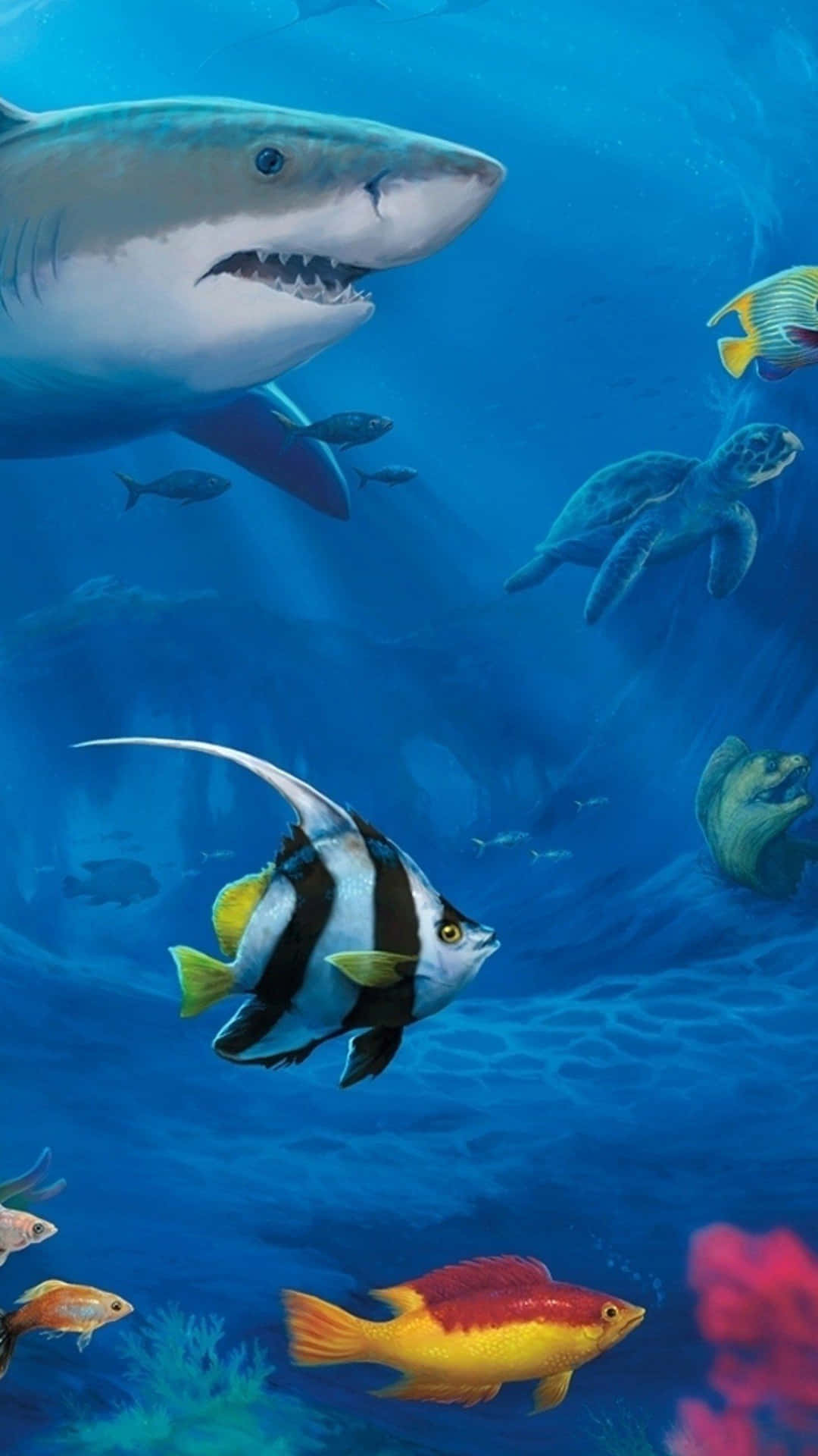 Et maleri af en haj og andre fisk i havet under havoverfladen Wallpaper
