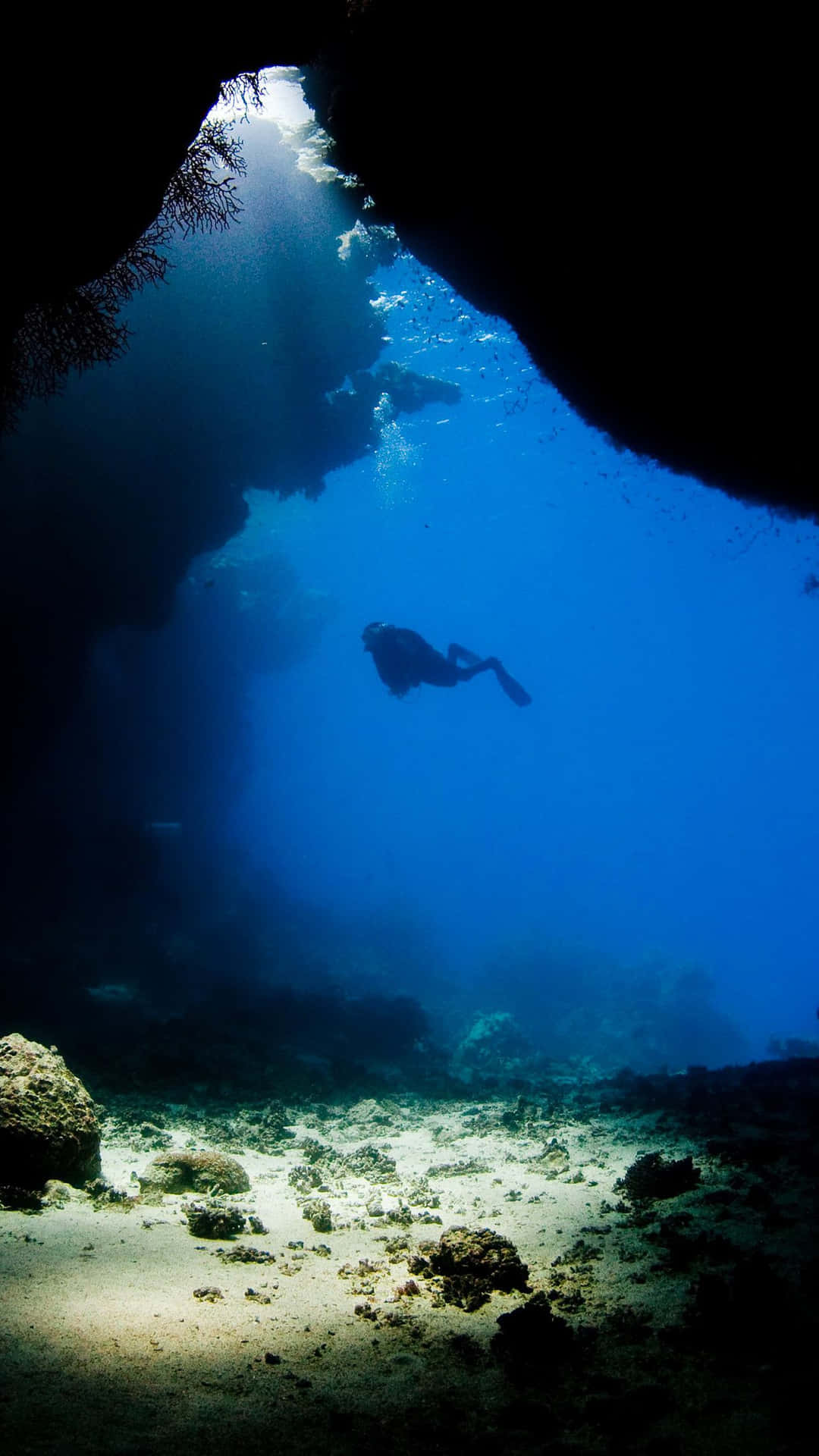 En dykker svømmer i en hule Wallpaper