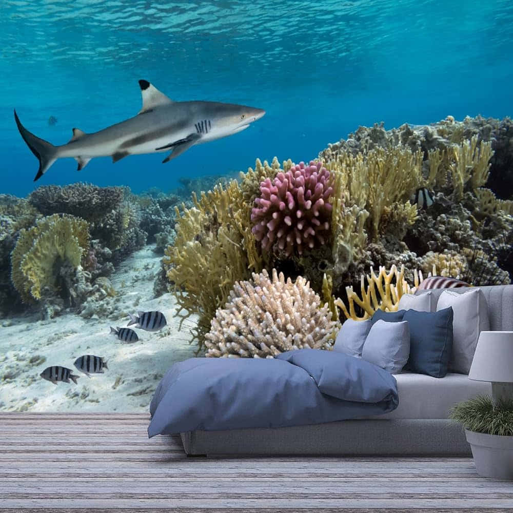 Underwater Living Roomwith Reef Shark Wallpaper
