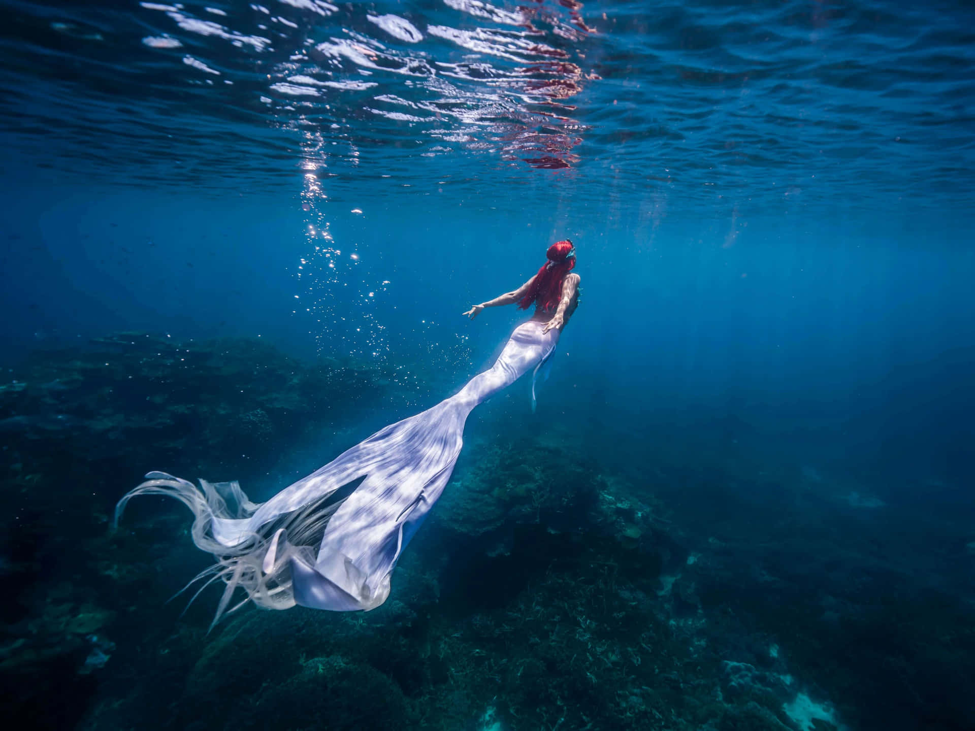 Underwater_ Mermaid_ Elegance.jpg Wallpaper