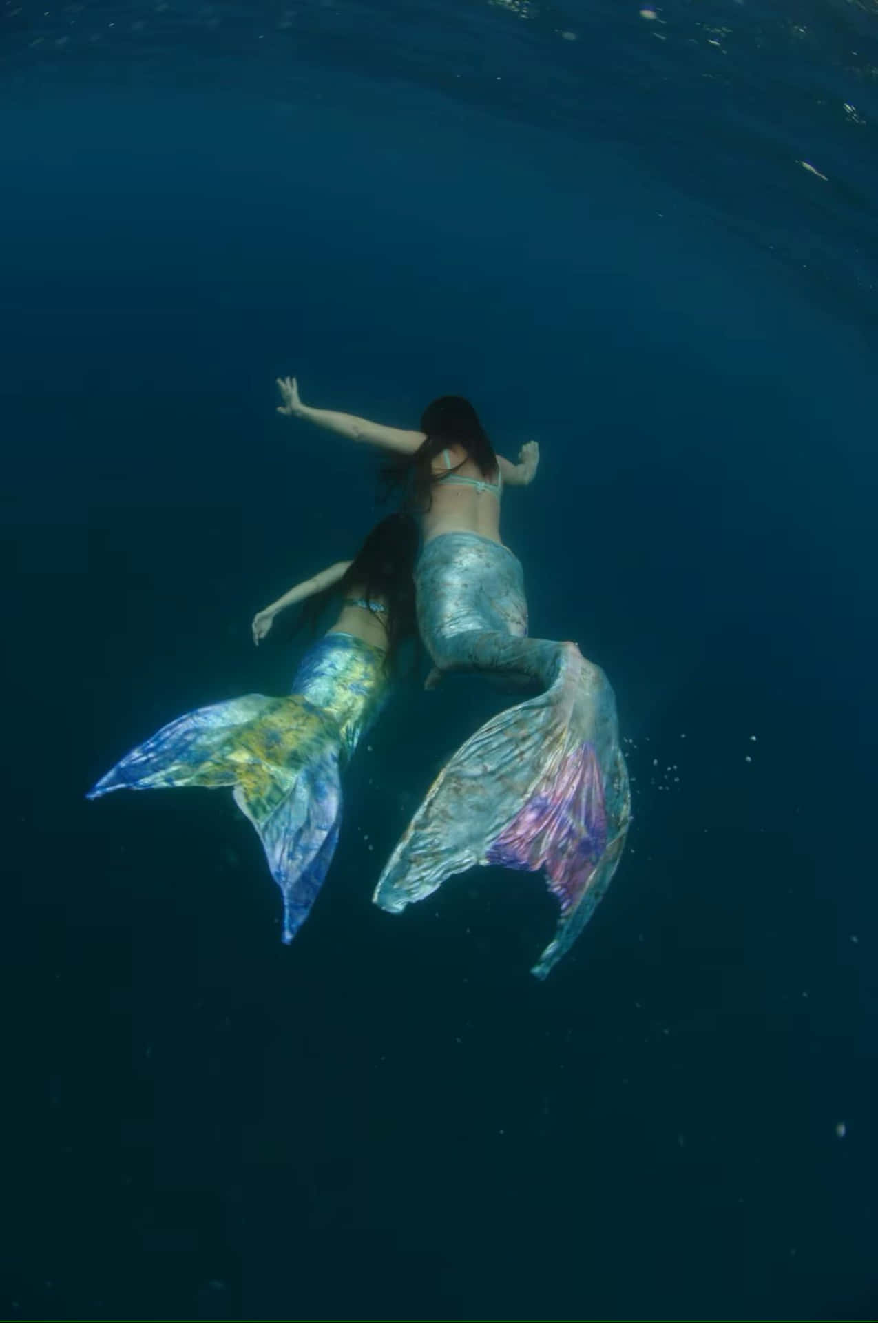 Underwater_ Mermaid_ Illusion Wallpaper