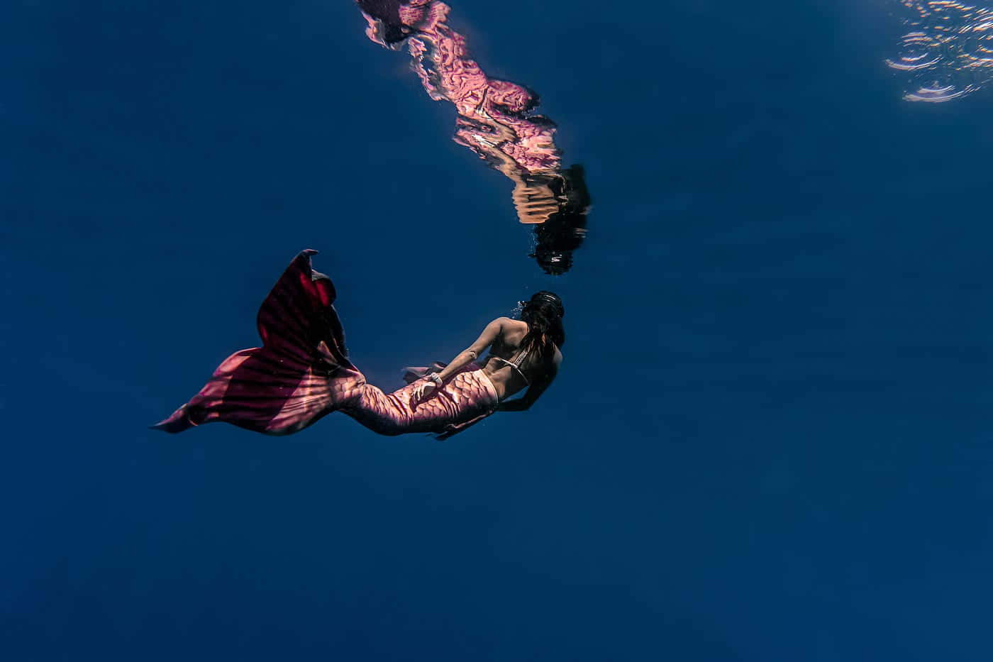 Underwater Mermaid Illusion Wallpaper