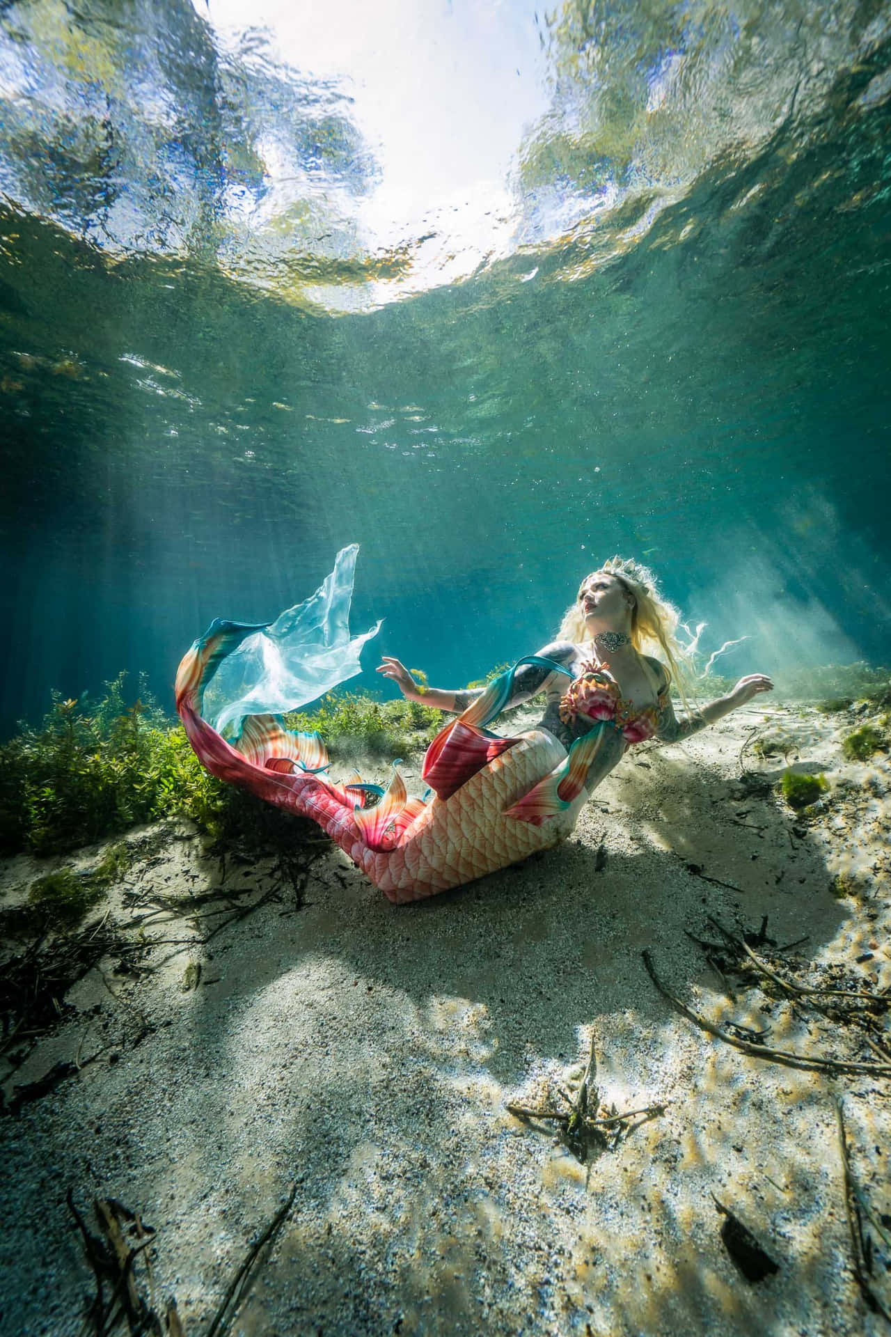 Underwater_ Mermaid_ Repose.jpg Wallpaper