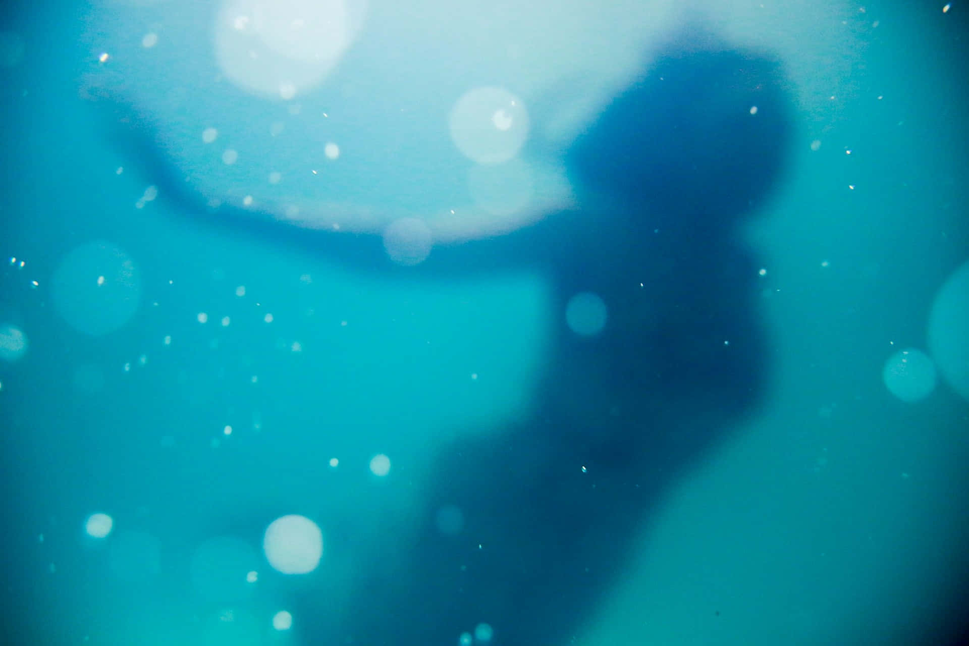 Underwater_ Mermaid_ Silhouette Wallpaper