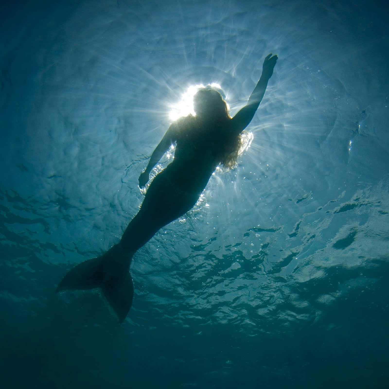 Underwater Mermaid Silhouette Sunburst Wallpaper