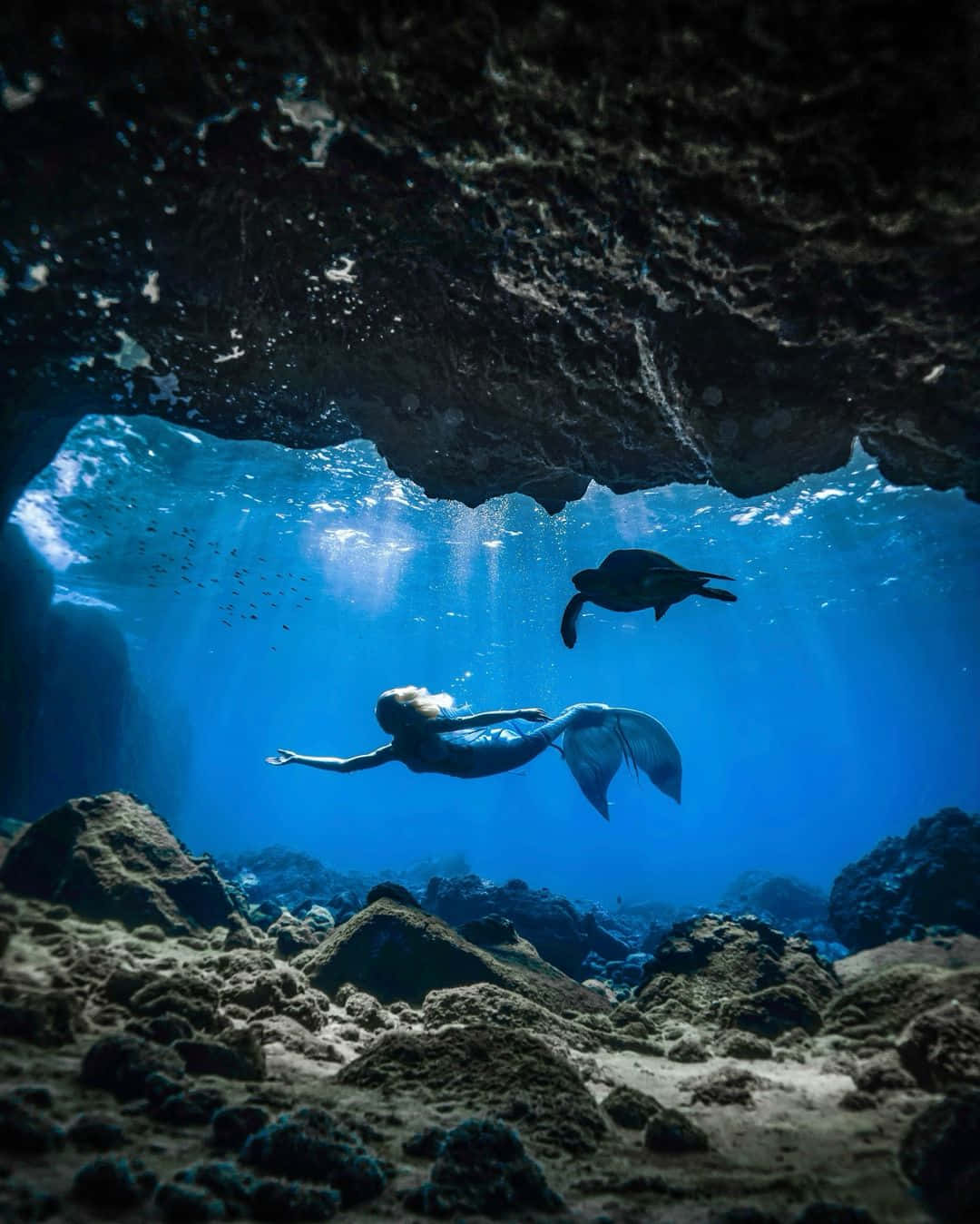 Underwater_ Mermaid_with_ Turtle_ Companion.jpg Wallpaper