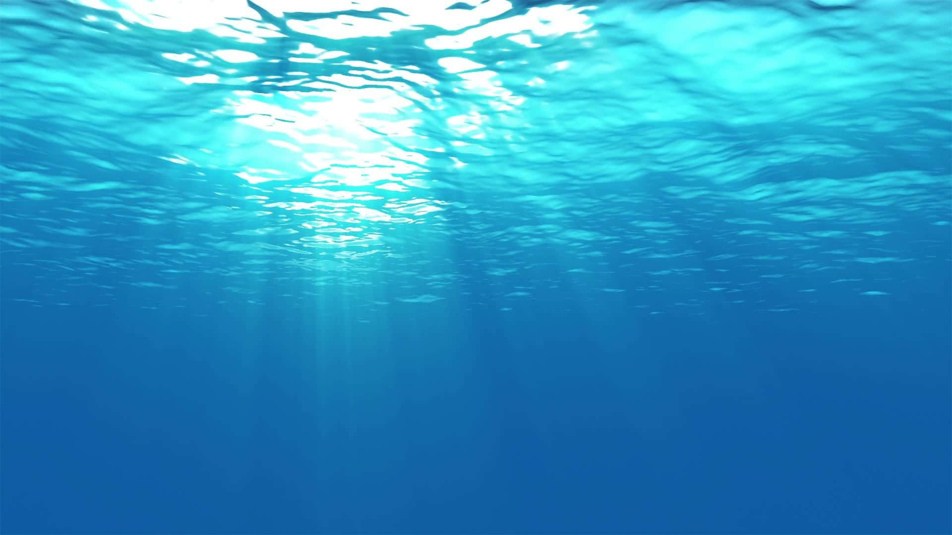 Underwater Ocean Surface With Sun Rays