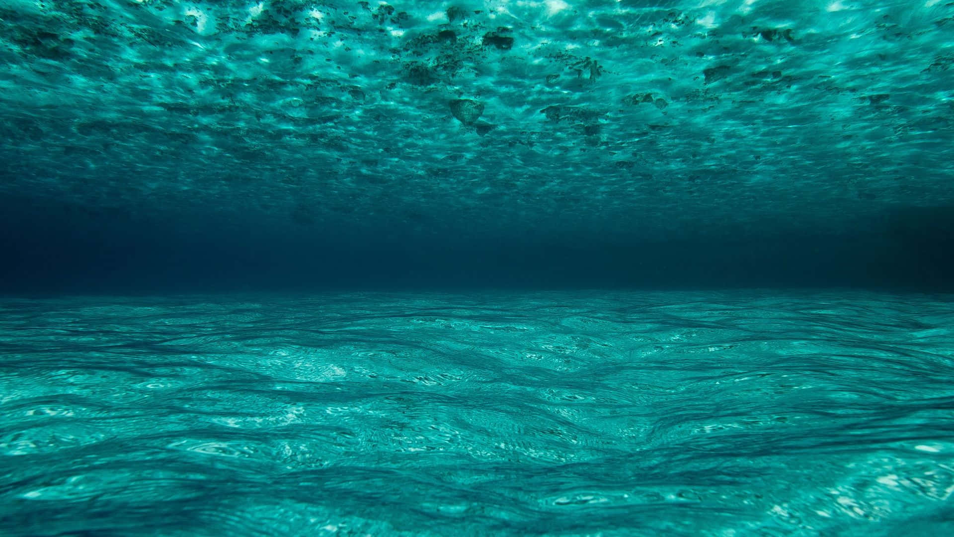 An Underwater Journey Through an Incredible Ocean World