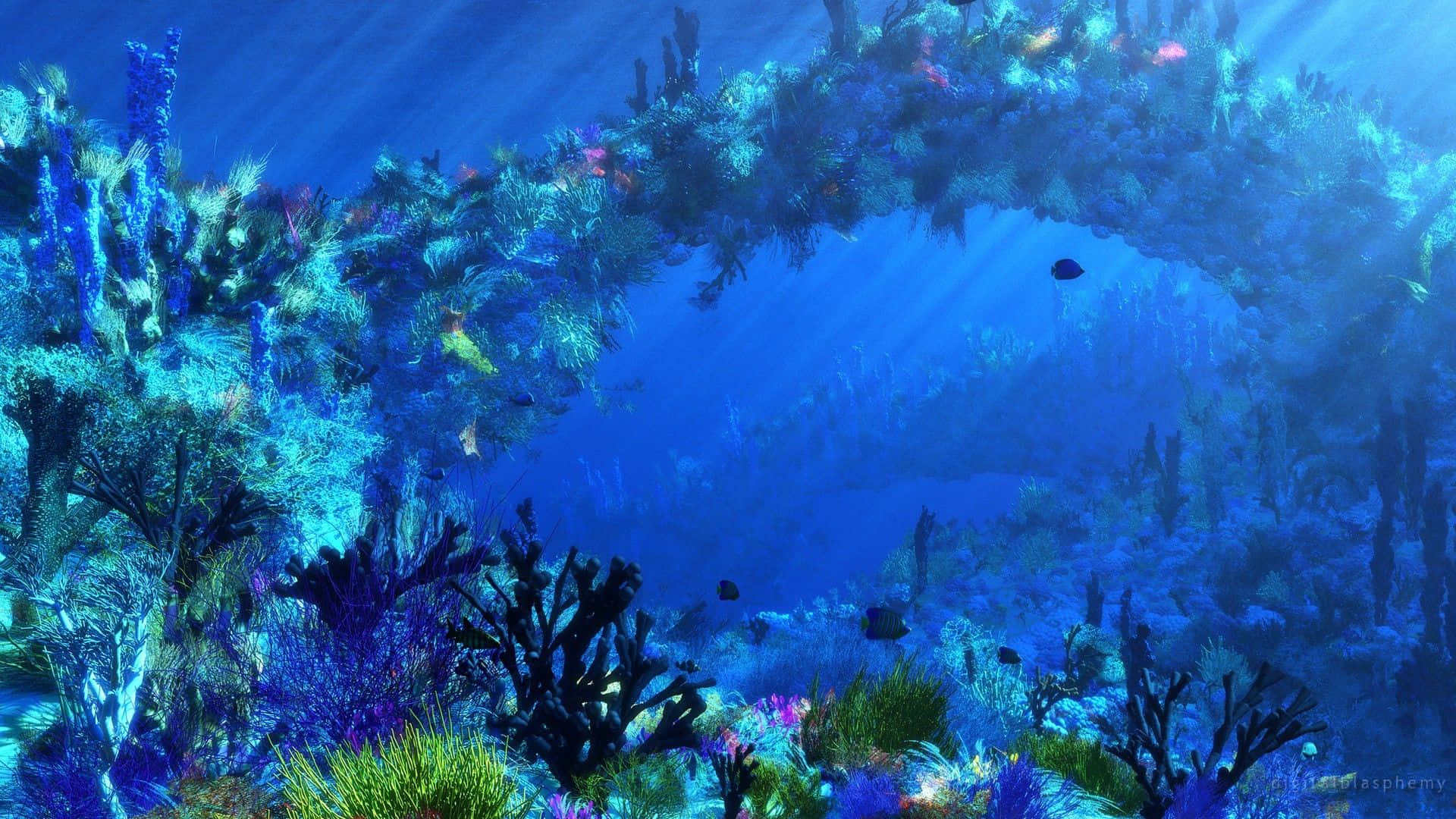 Upptäckdet Magiska Undervattensvärlden I Havet