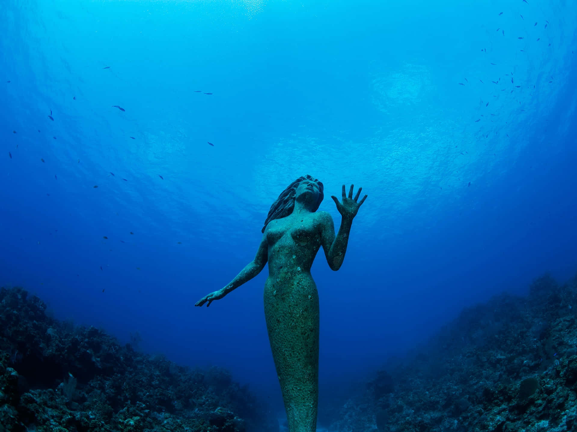 Spend Time in the Beauty and Majesty of the Underwater Ocean