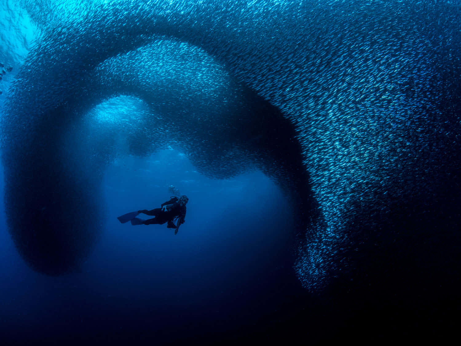 Unsubacqueo Sta Nuotando Attraverso Un Grande Buco Nell'oceano