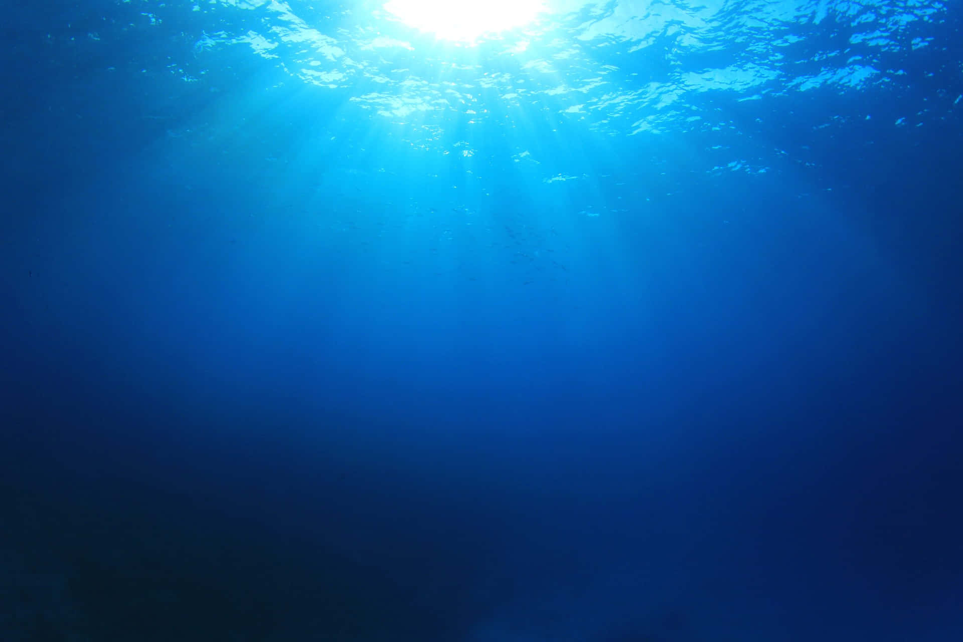 Explore the depths of the majestic underwater ocean
