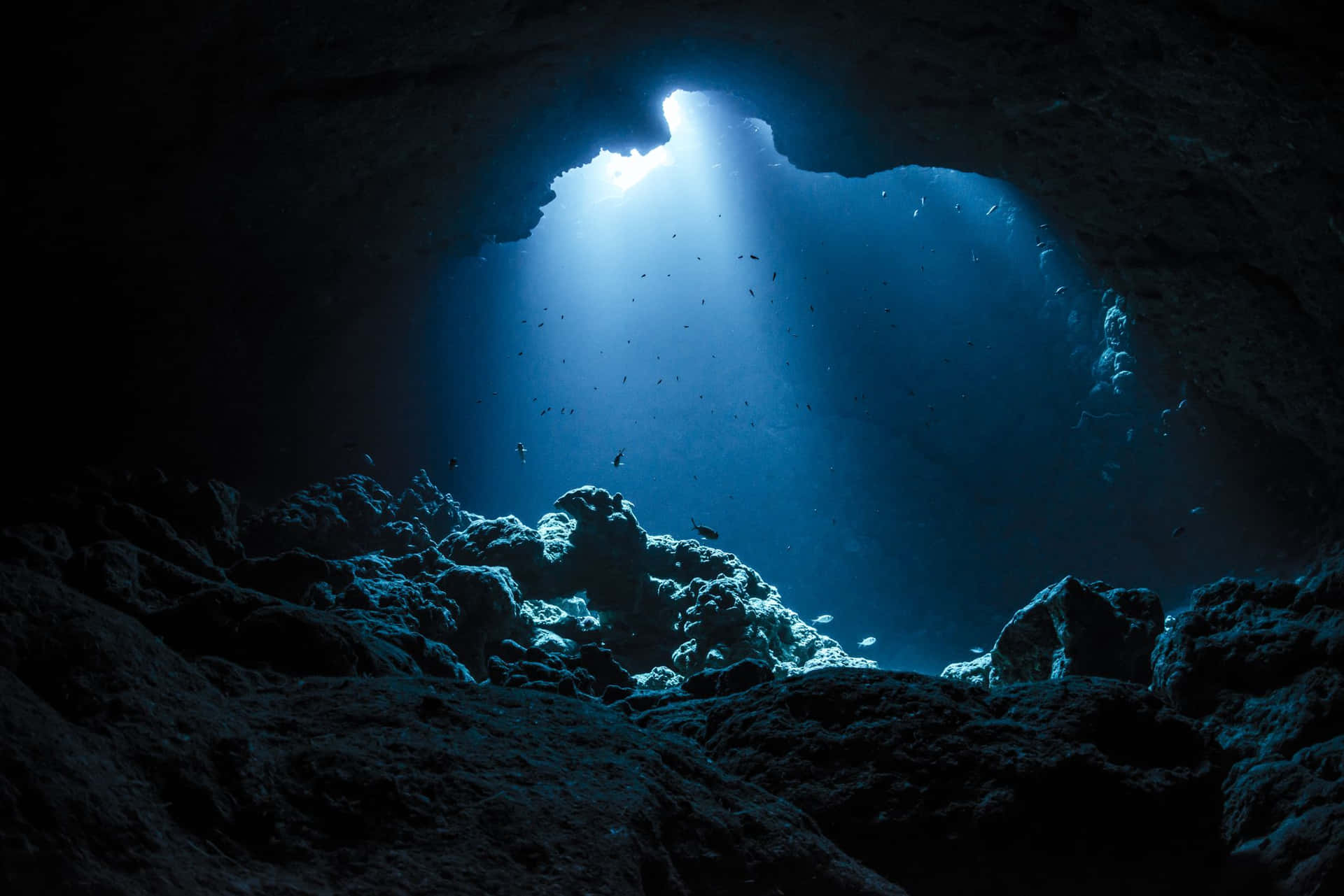 Esplorale Profondità Dell'incantevole Oceano Sottomarino