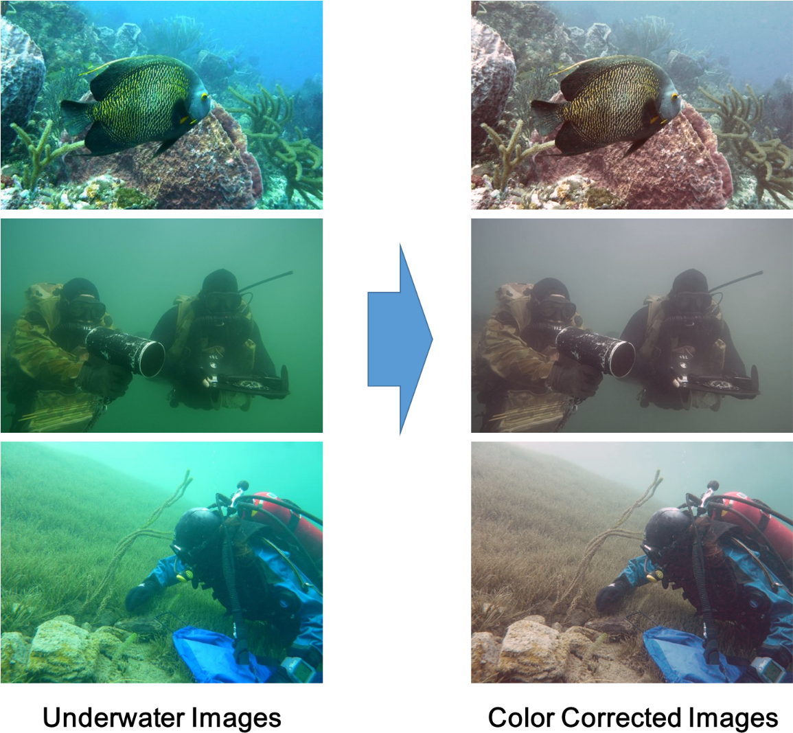 Download Underwater Photography Before After Color Correction