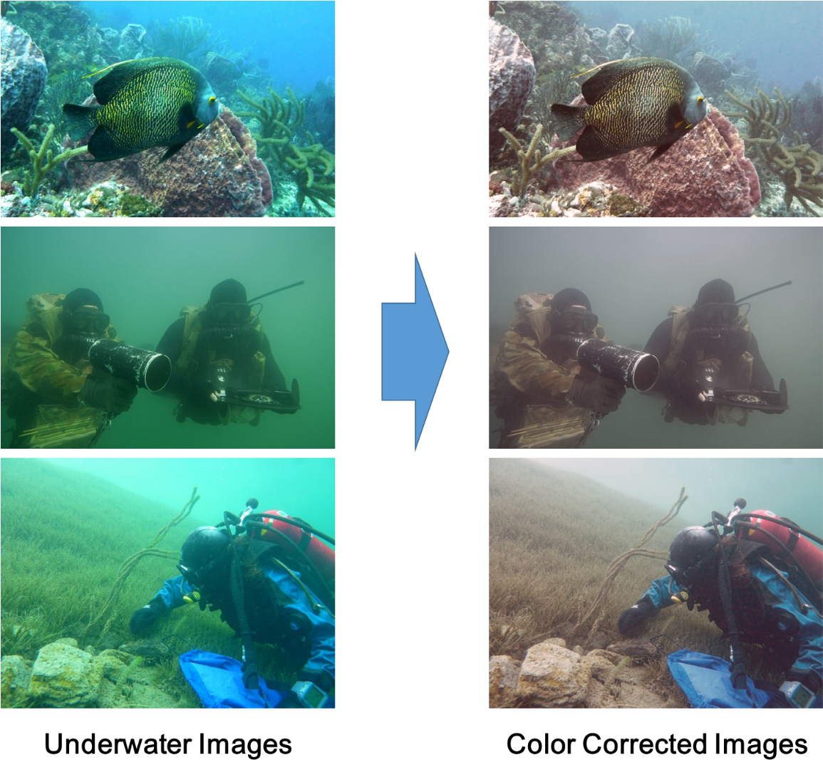 Underwater Photography Before After Color Correction PNG