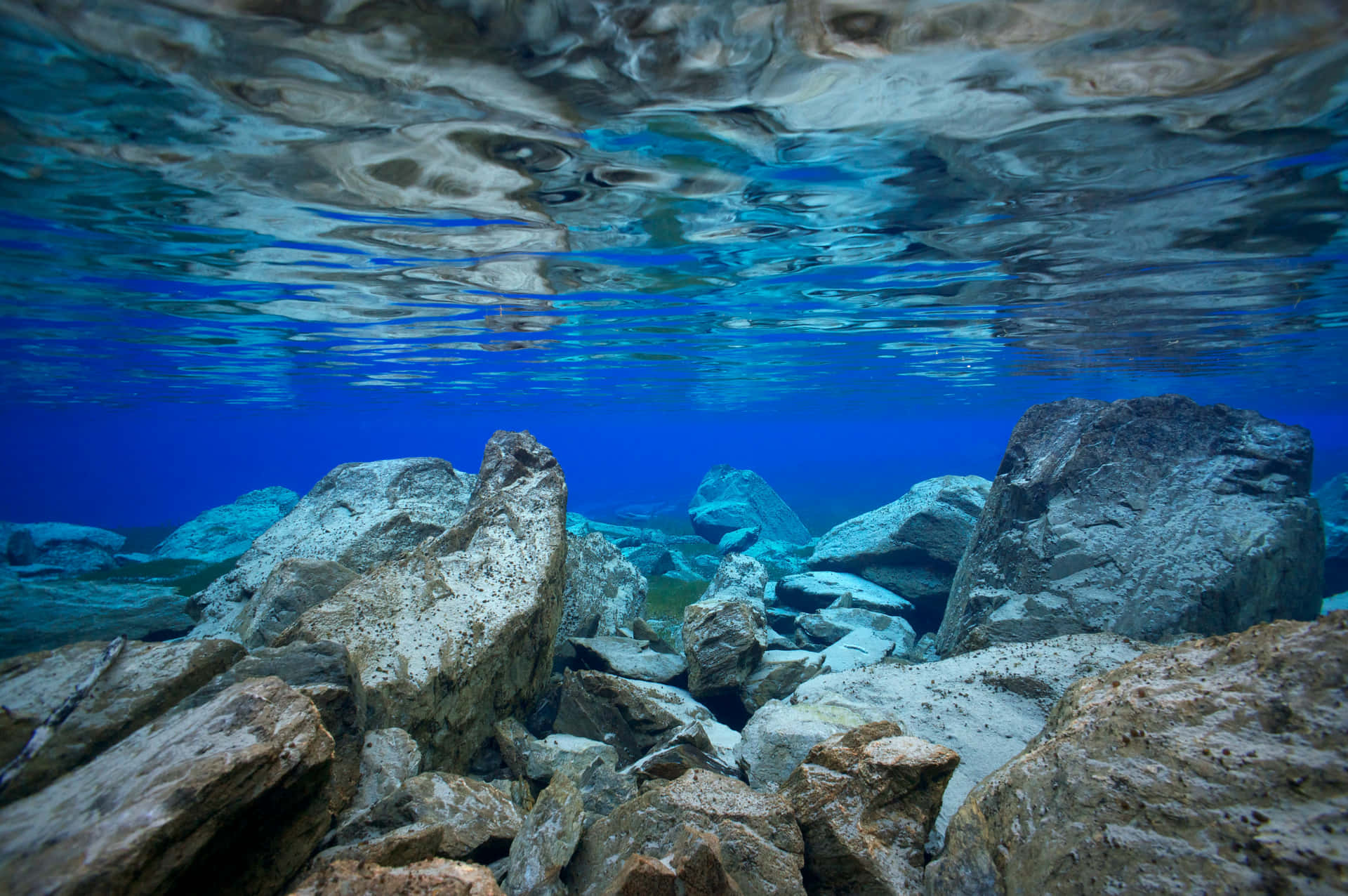 Taucheein - Erkunde Die Tiefen Der Unterwasserwelt