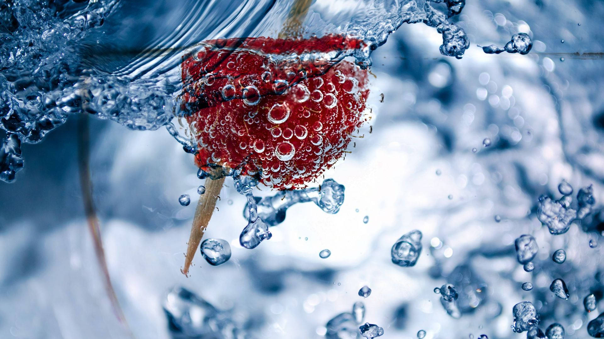 Underwater Red Raspberries On Stick Wallpaper