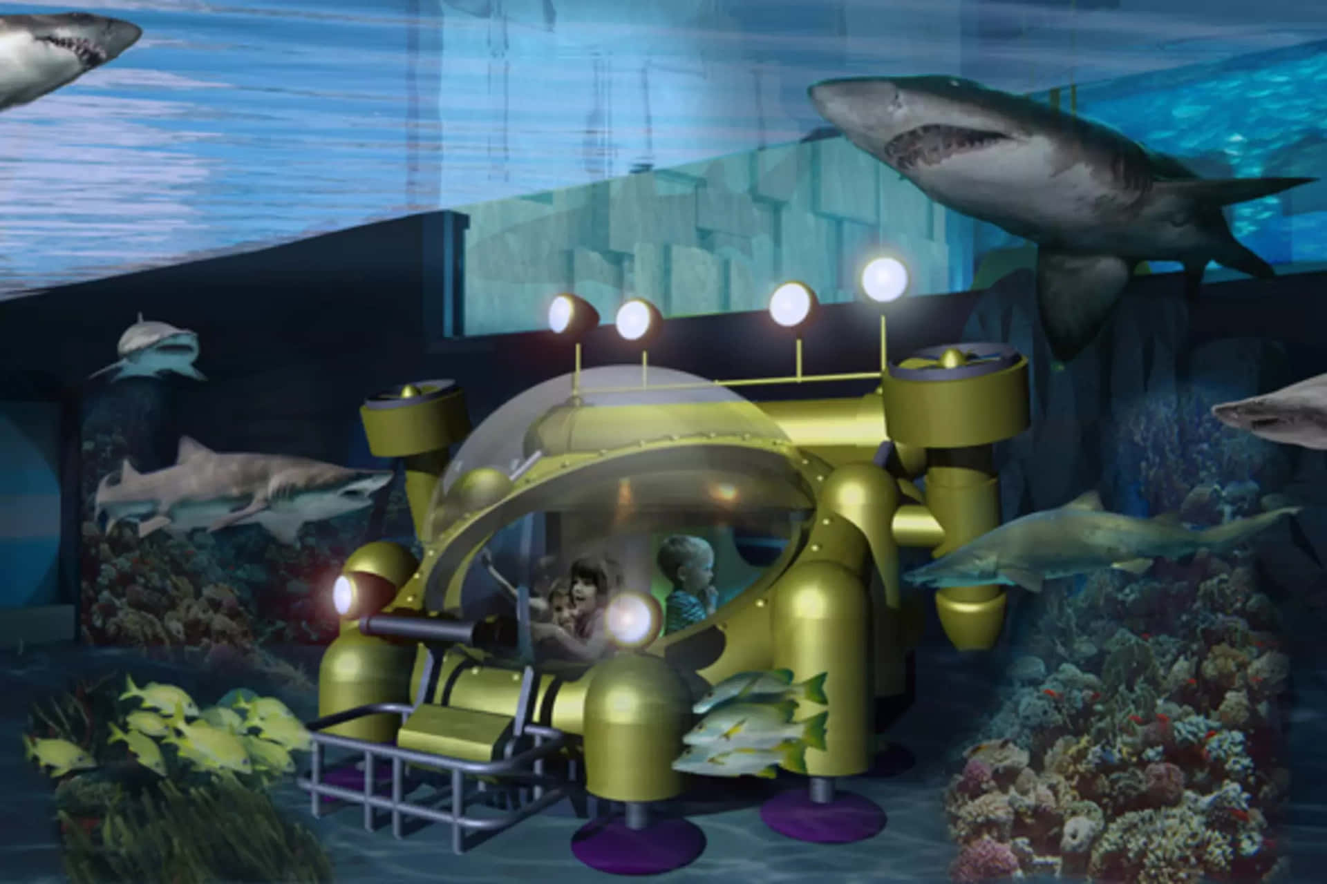 Underwater Restaurant Experience Ripleys Aquarium Wallpaper