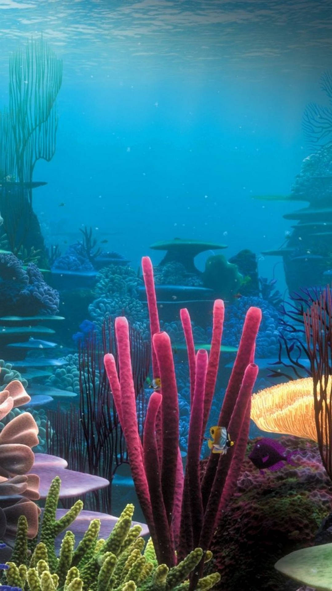 Underwater Scene Attractive Wallpaper