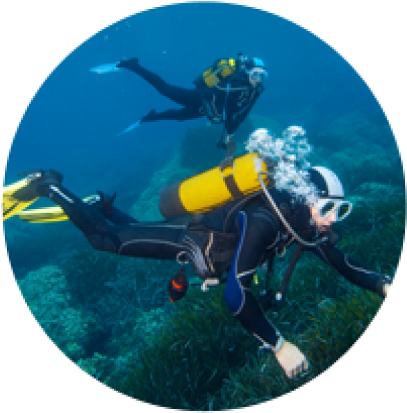 Underwater Scuba Divers Exploration PNG