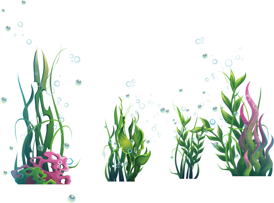 Underwater Seaweed Clustersand Bubbles PNG