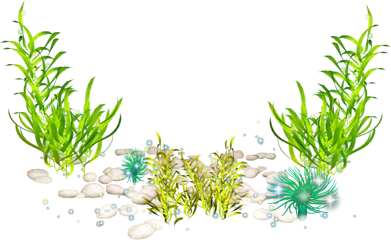 Underwater Seaweed Scene PNG