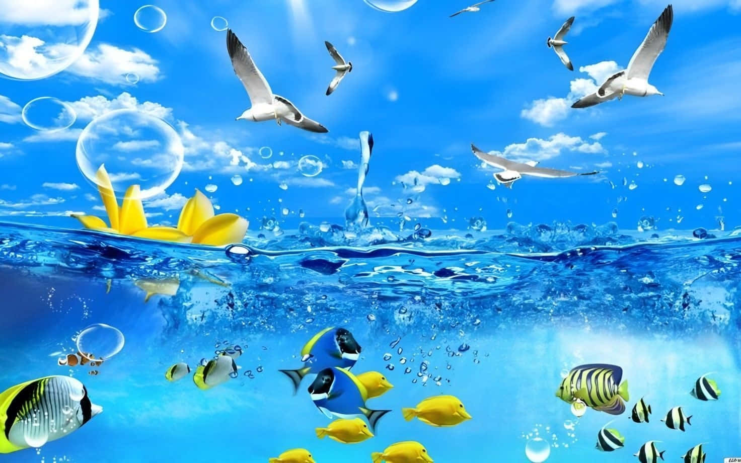 Underwater_ Serenity_with_ Seagulls_and_ Tropical_ Fish.jpg Wallpaper
