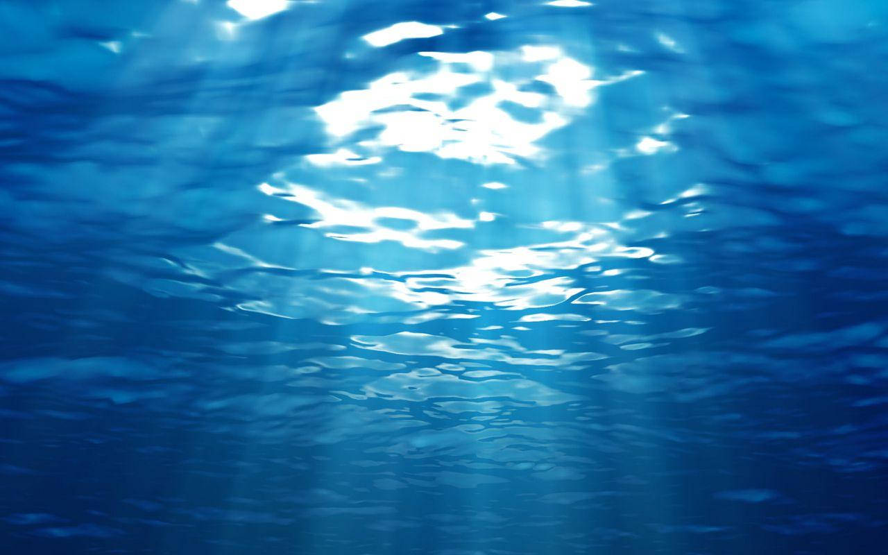 Underwater Shot On Galaxy Tablet Wallpaper