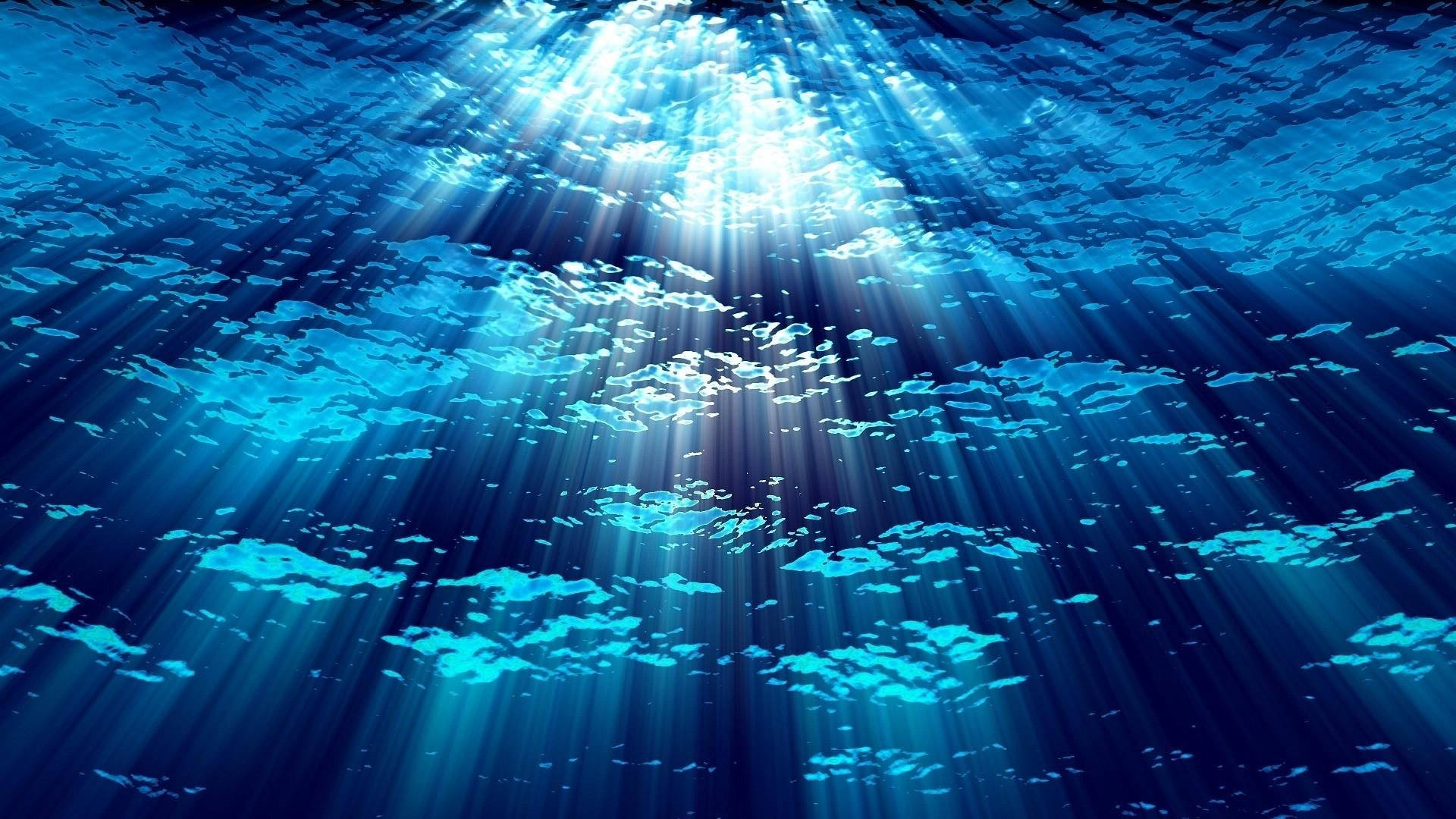 Underwater Wallpapers HD  PixelsTalkNet
