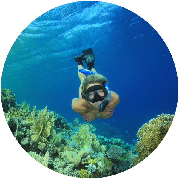 Underwater_ Adventure_ Selfie.jpg PNG