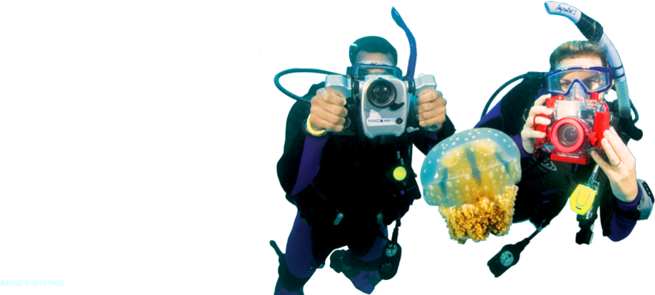 Underwater_ Photographers_ With_ Jellyfish.png PNG