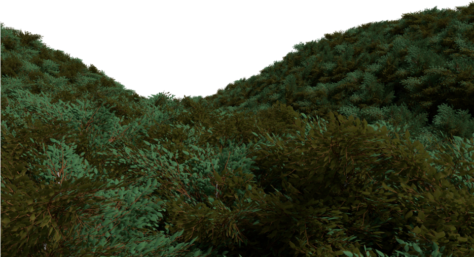 Underwater_ Seabed_ Foliage PNG