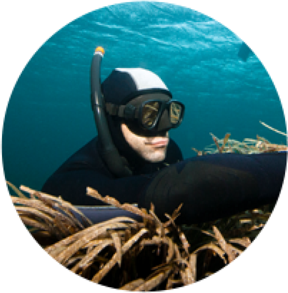 Underwater_ Snorkeler_ Adventure.jpg PNG