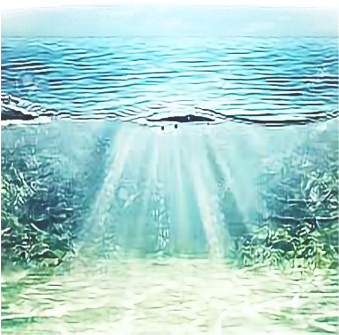 Underwater_ Sunbeams_ Aquatic_ View.jpg PNG