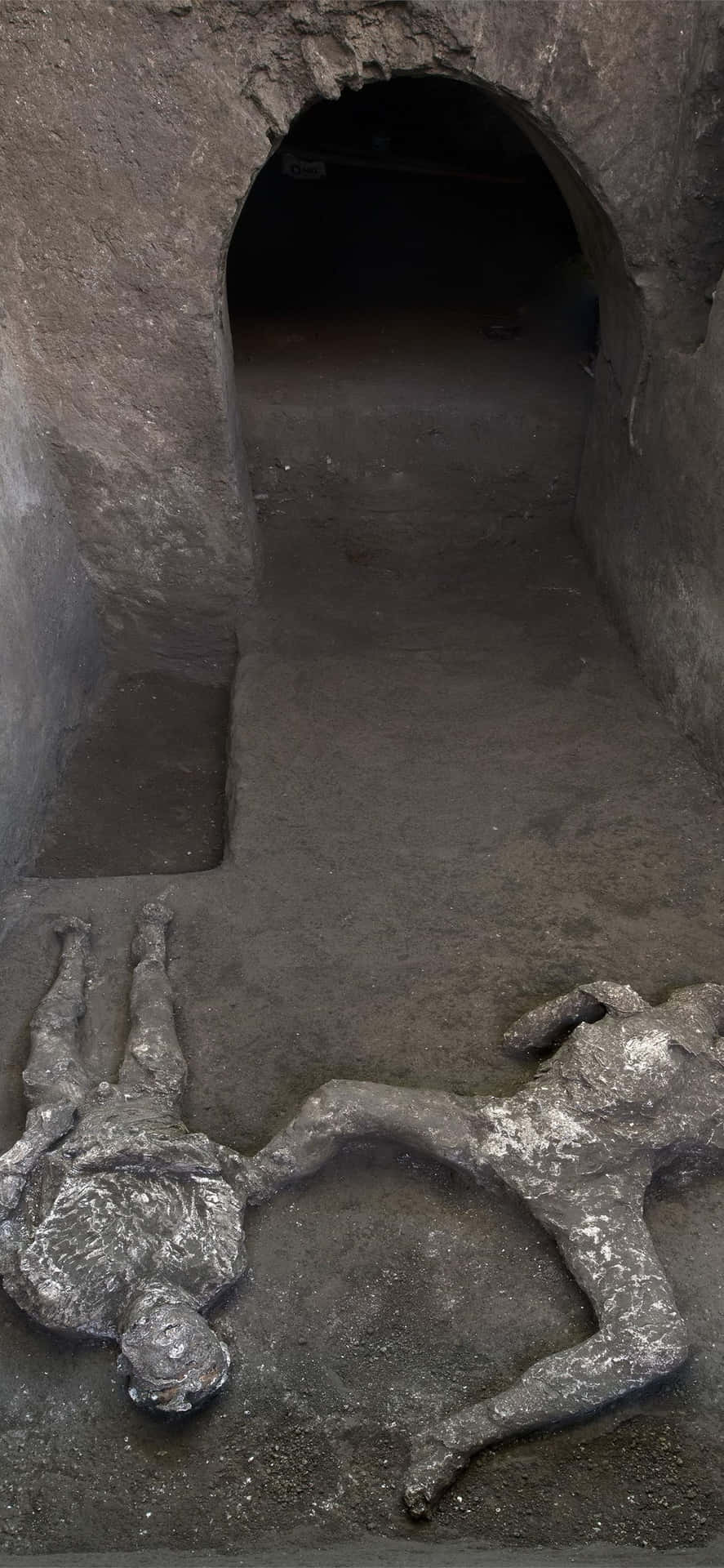 Unearthed Human Bodies At Pompeii Picture