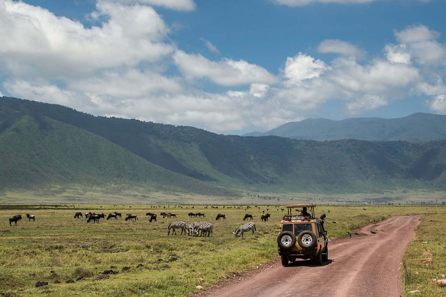 Unesco World Heritage Site Ngorongoro Crater African Wildlife Wallpaper