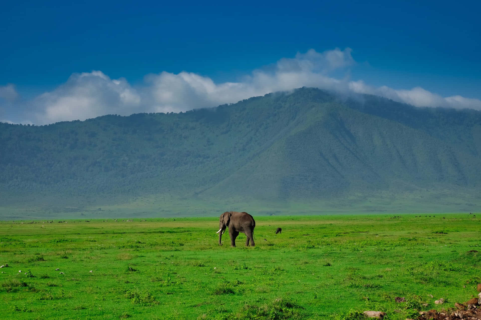 Intrigantevista Del Cratere Di Ngorongoro Nel Nord Della Tanzania. Sfondo