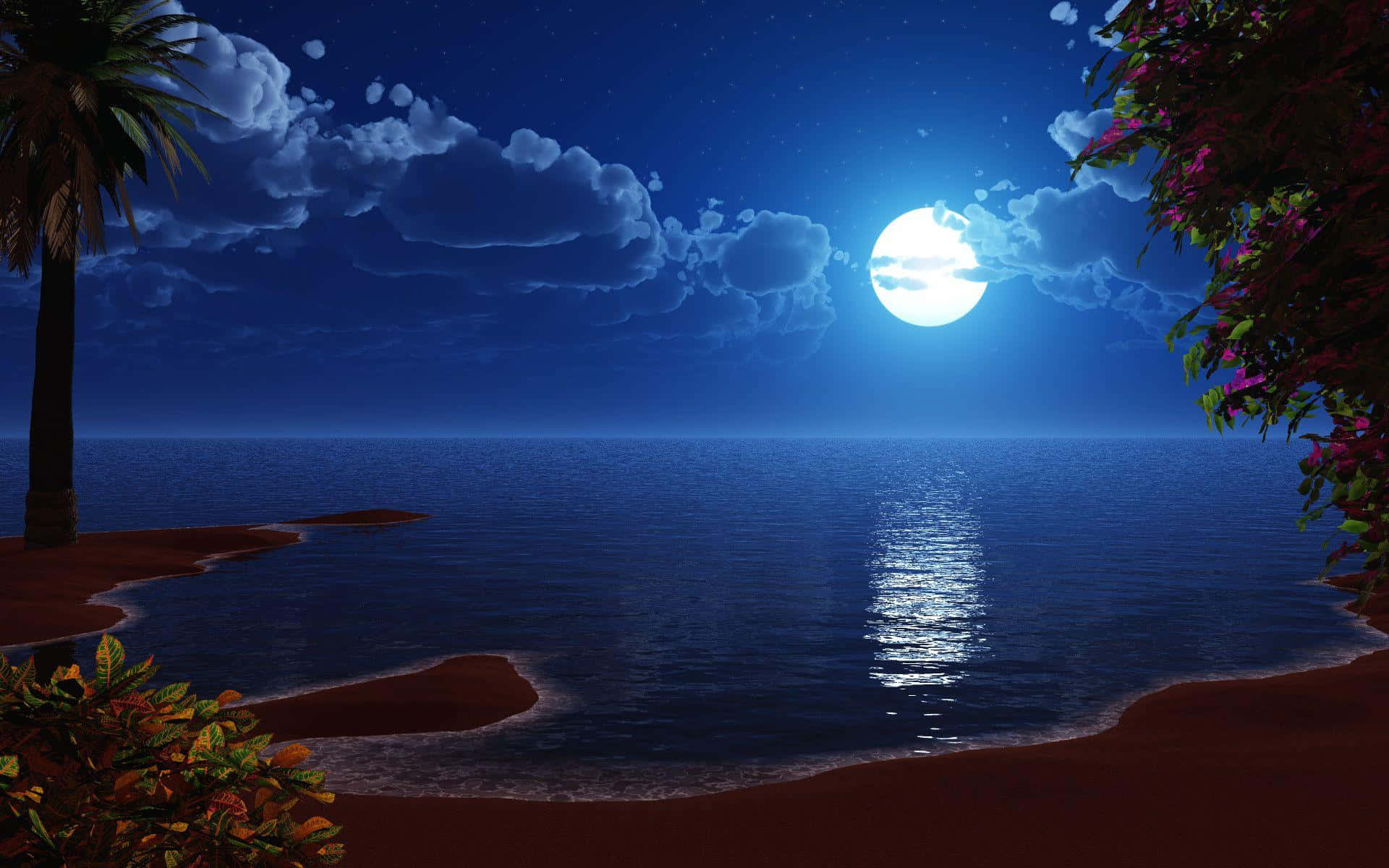Unespectacular Paisaje Nocturno Iluminado Por La Luna.