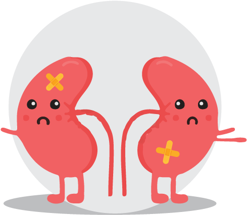 Unhappy Cartoon Kidneys PNG