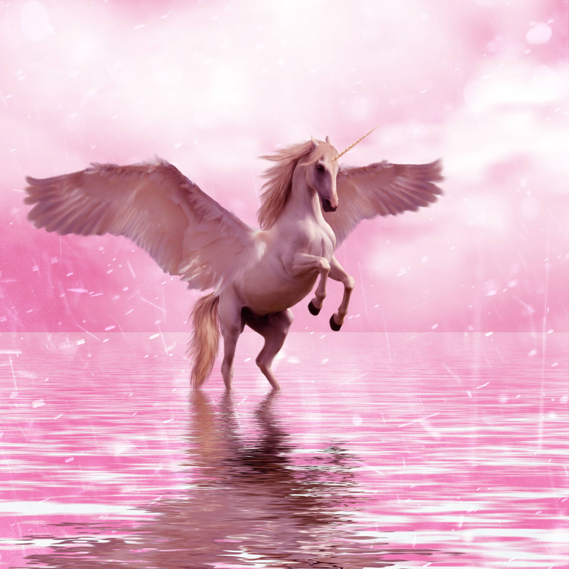 Magical, majestic unicorn swimming in a pink river. Wallpaper