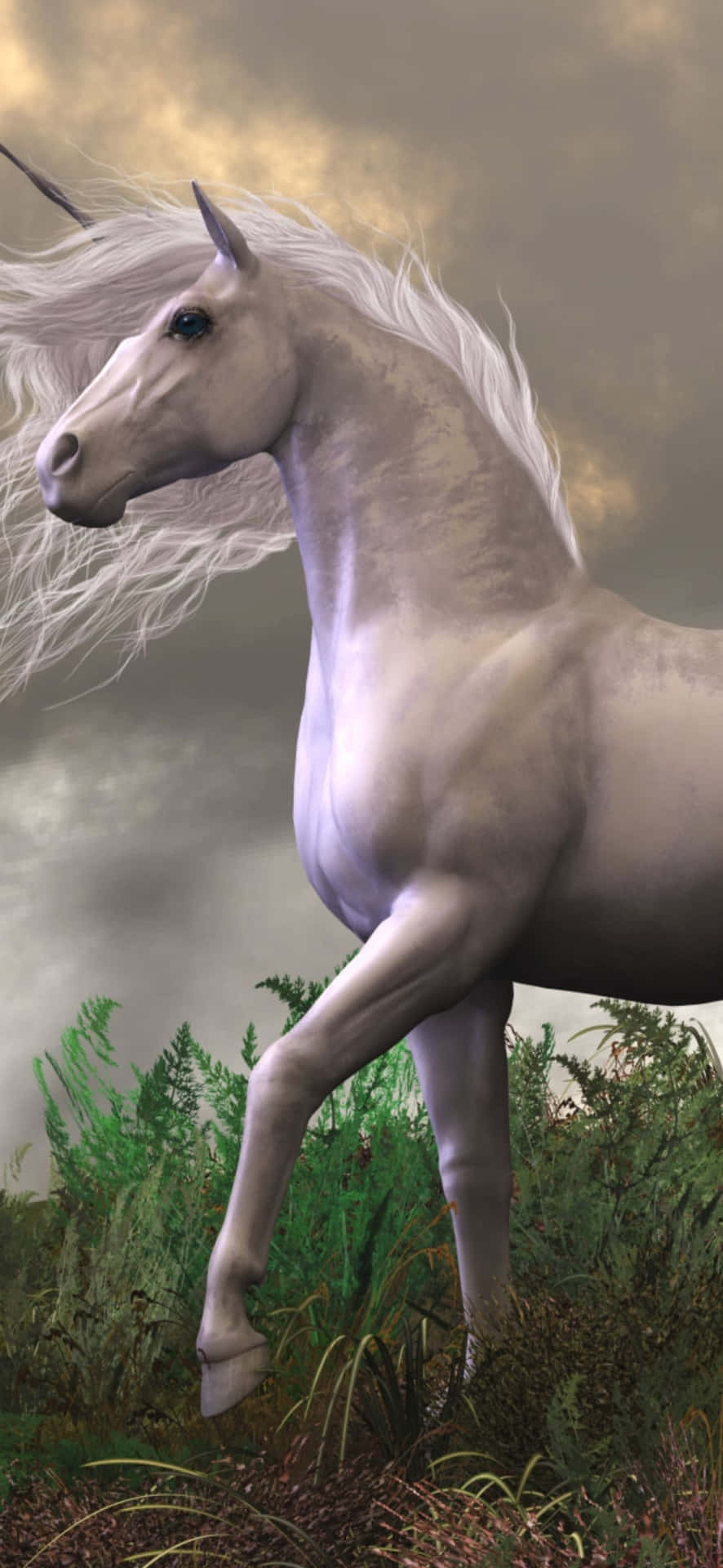 Unicorn With White Flowy Hair Background