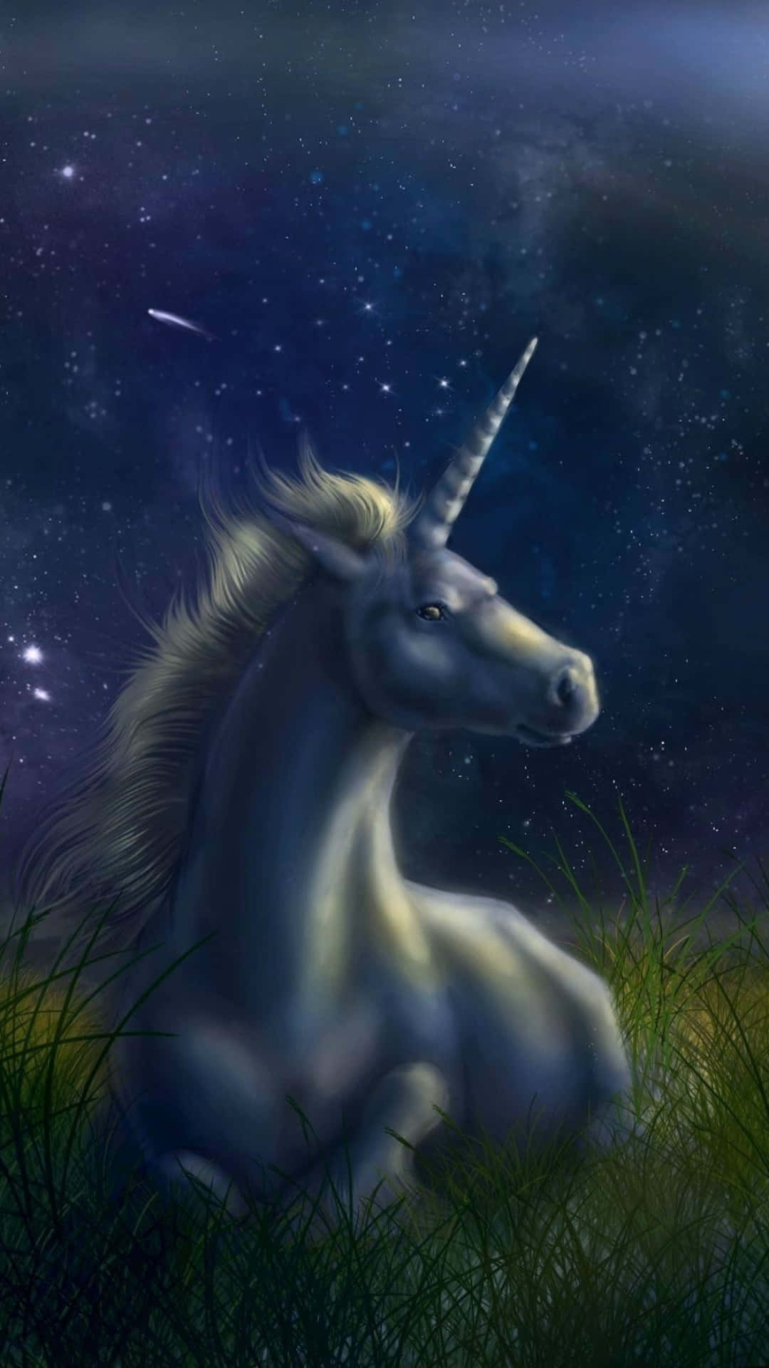 Unicorn Under Starry Night Sky Background