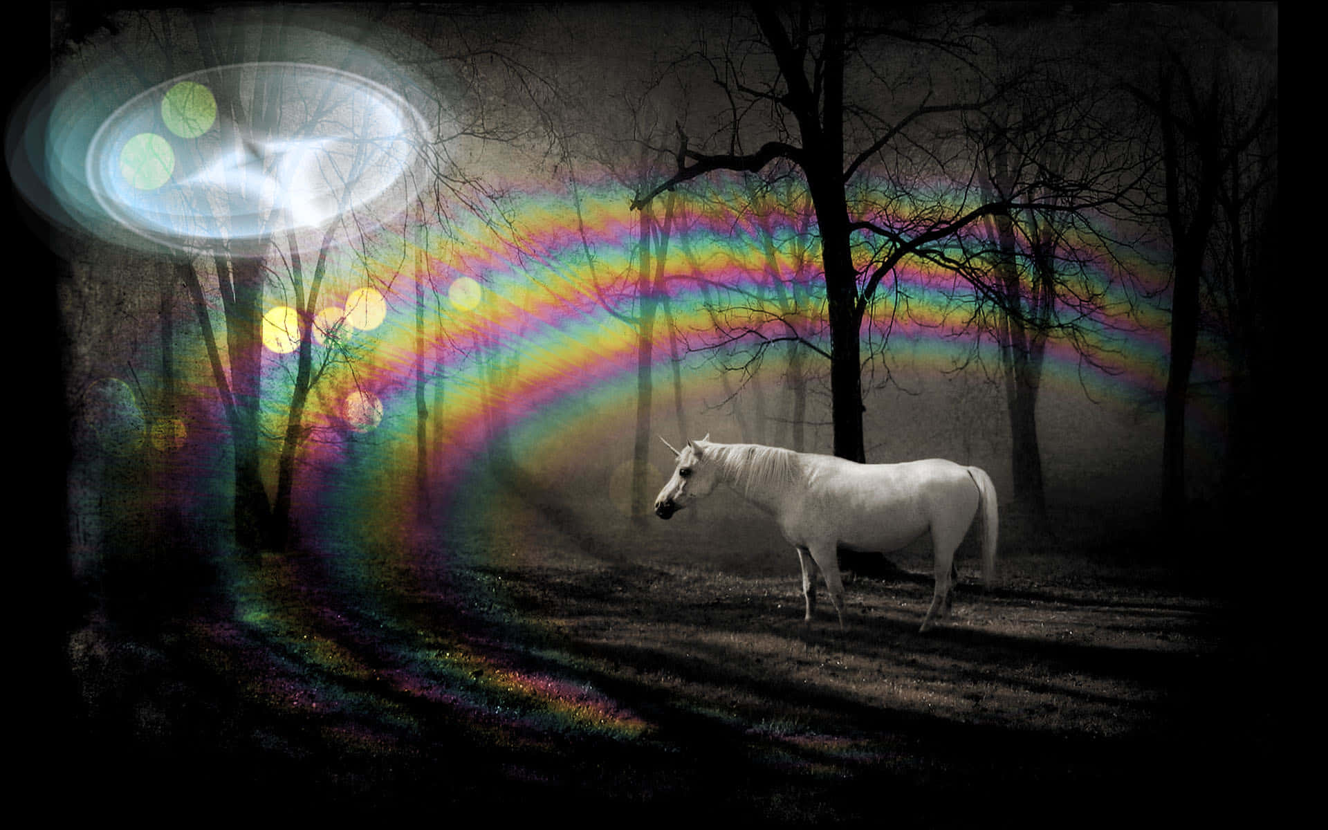 Colorful, mystical unicorn to unleash your creativity!