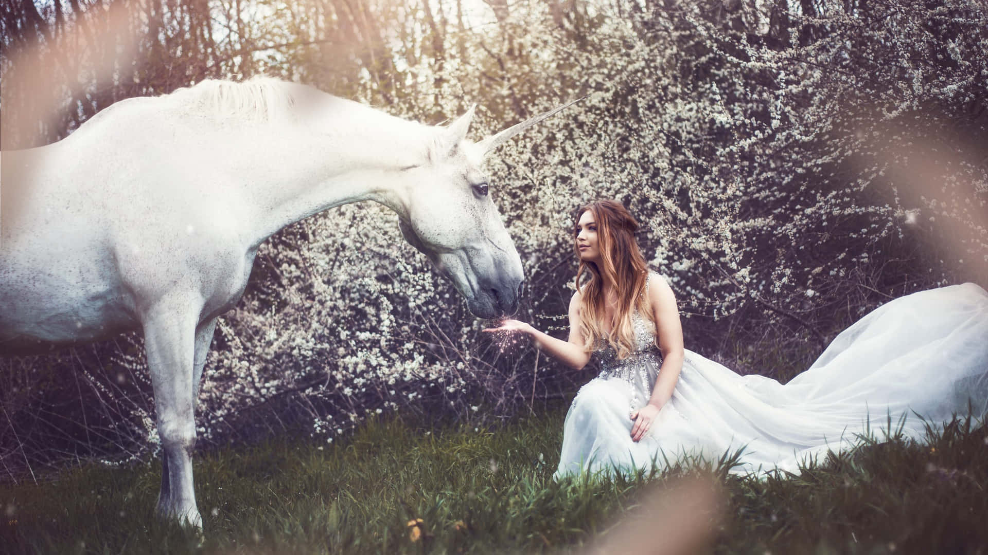 A Woman In A White Dress Petting A White Unicorn