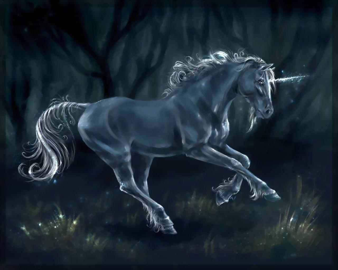 "Unlock your inner magic with Unicorn Desktop!" Wallpaper