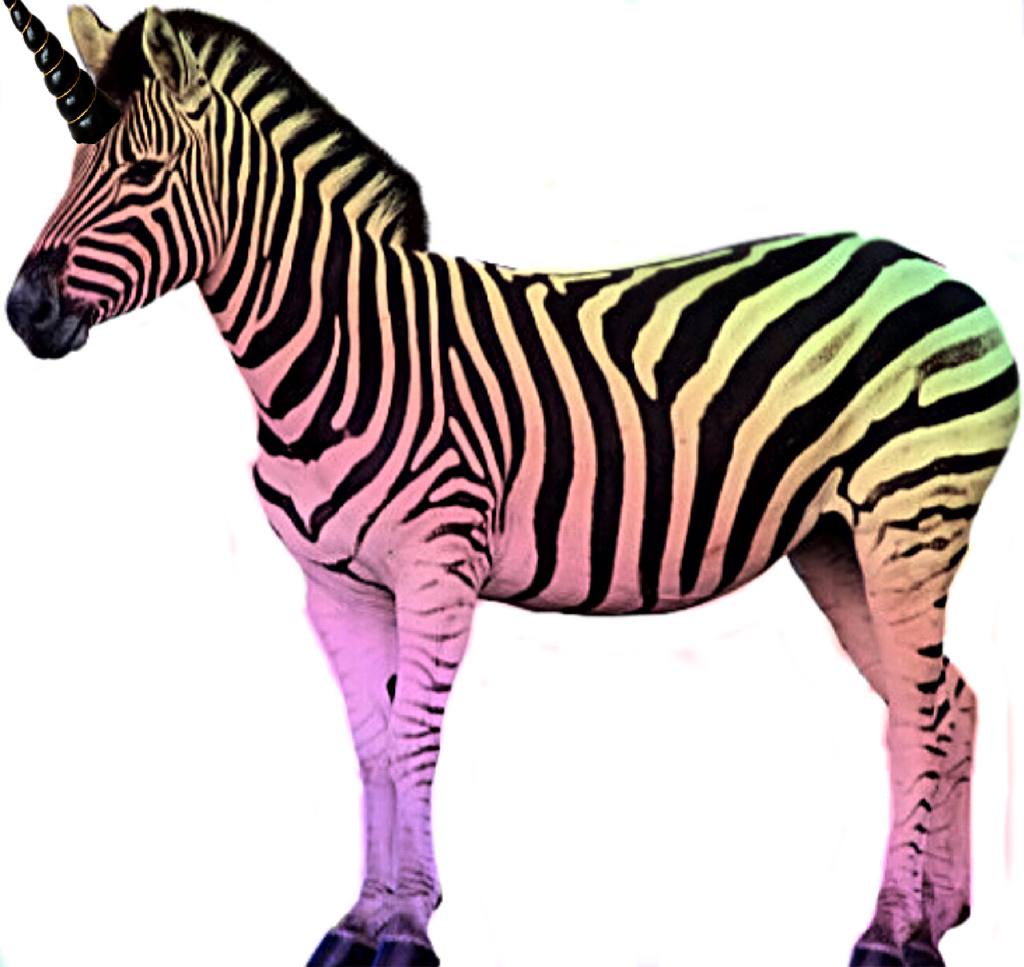 Unicorn Zebra_ Hybrid_ Illustration PNG