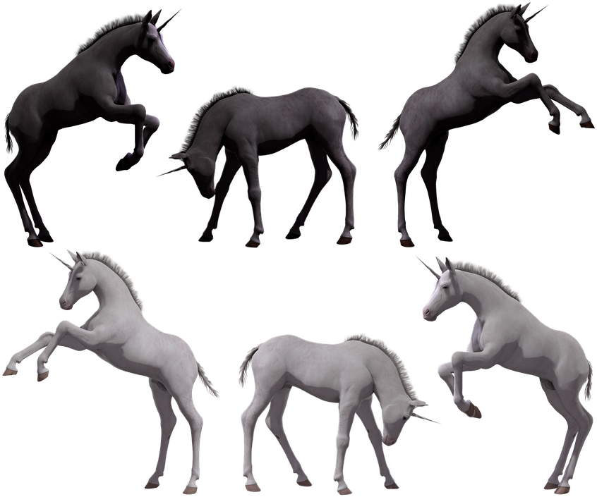 Unicorn_ Foals_ In_ Various_ Poses PNG