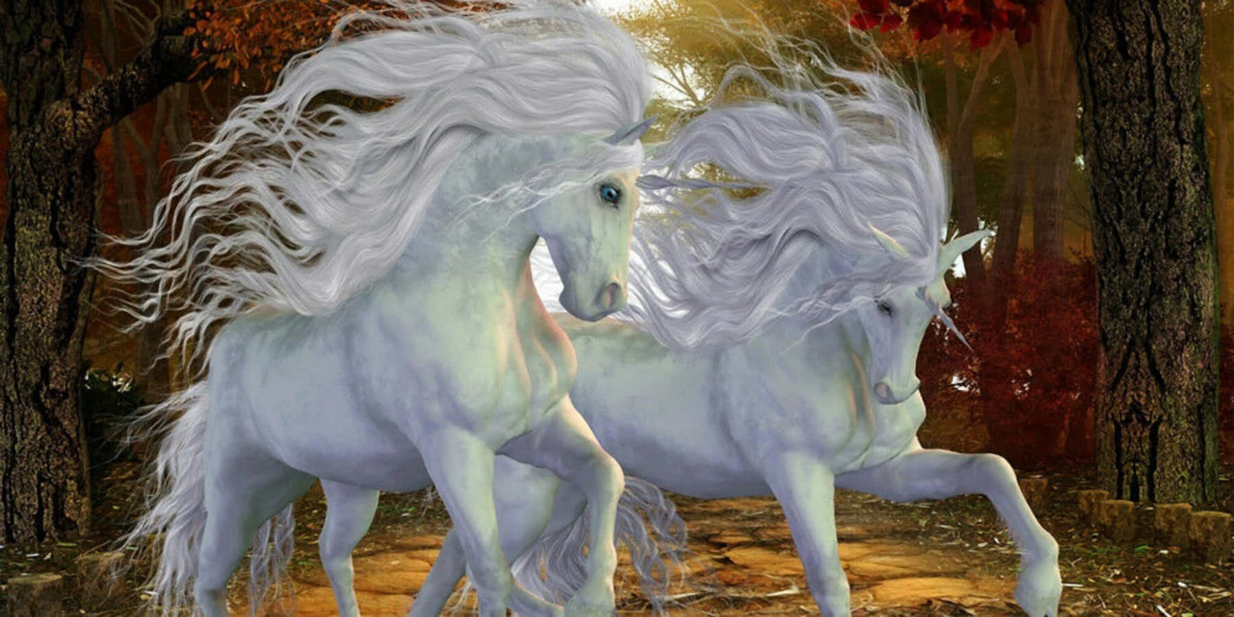 Magical Unicorn Dream