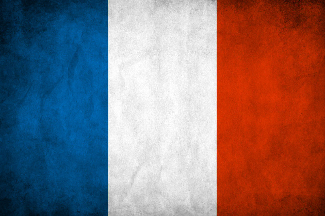 Unique France Flag Art